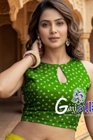 Parrot Bandhani Dots Blouse Gaji Silk