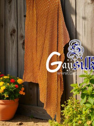 Rust Dots Rai Dani Bandhani Dupatta Pure GajiSilk