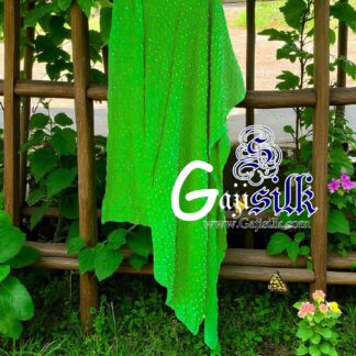 Parrot Dots Rai Dani Bandhani Dupatta Pure GajiSilk