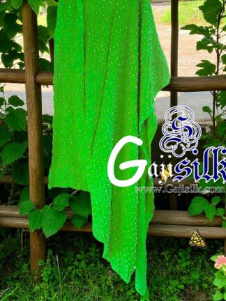 Parrot Dots Rai Dani Bandhani Dupatta Pure GajiSilk