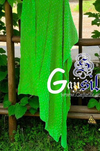 Parrot Dots Rai Dani Bandhani Dupatta Pure GajiSilk