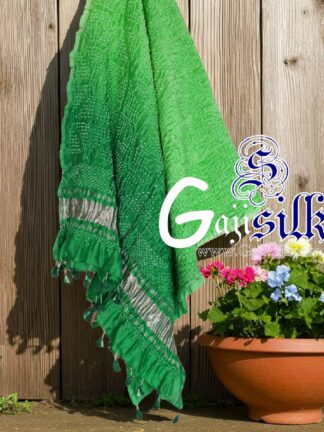 Pastel Parrot Kaju Kalti Designer Rai Bandhani Dupatta Pure GajiSilk